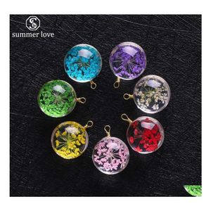 Charms ankomst 15 mm torkat blomma glas h￤nge charm f￶r halsband ￶rh￤nge colorf transparent kulform smycken grossist droppe deliv dhjfe