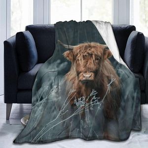 Cobertores Ultra Soft Soft Flannel marrom arremesso de vaca cobertor Highland Cattle Landscape Farmhouse Rustic House durante toda a estação