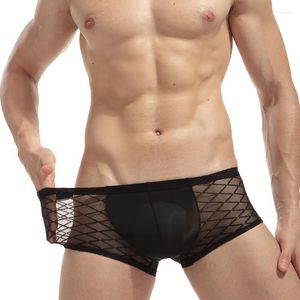 Underbyxor män sexig fisknät boxare underkläder man boxare stam hög stretch mesh gay transparent svart