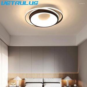 Ceiling Lights Modern LED Lamp Luminaires Hang Lamps Surface Mounted Decoration Indoor Lighting Fixture