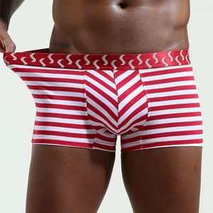 Mutande Year Of Fate Red Underwear Boxer da uomo Trunks Mascot Men Pure Cotton Marriage Fortune Pantaloncini di grandi dimensioni 1209