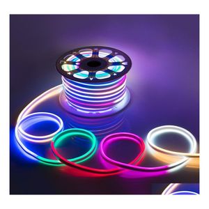 LED -remsor AC 110240V Flexibel RGB Neon Light Strip IP65 MTI F￤rg Byte av 120LEDS/M ROPE utomhus L￤gg till fj￤rrkontroll Power Drop OTE8I