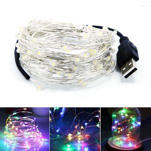 Strängar 10m USB Vattentät LED -sträng Koppar Holiday Fairy Tale Lamp Outdoor Park Garden Christmas Party Wedding Decoration