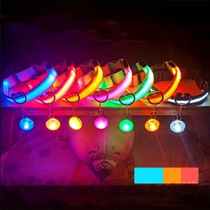 Night Flash Dog Sollares Supplies Pet Dog Teddy Pet Luminous LED Collar