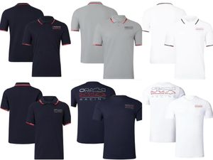 F1 Racing Polo Suit Summer Team kortärmad hoodie anpassad med samma stil