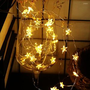 Stringhe Filo di rame Star Light String LED Batteria a risparmio energetico Luci notturne Decorazione camera da letto Lampada da sposa Fata