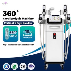Profesjonalna krioterapia Maszyna twarzy 360 Terapia Cryolipolysi Sym Maszyna 5 uchwytów Użyj sprzętu kosmetycznego 100kpa 110 V/60 Hz