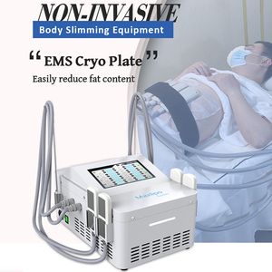2 I 1 Cool Tech Sculpting Fat Freezing Slimming Machine 360 ​​Cryoterapi Fat Freeze Equipment With EMS Funktion Cryo Pads Plate Muskel Builing Fat Loss Device