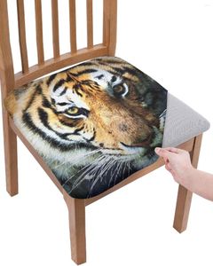 Chaves cobre a cadeira Elasticidade do gaze de Animal Tiger Office Office Seat Protector Case Home Kitchen Dining Room Slipcovers