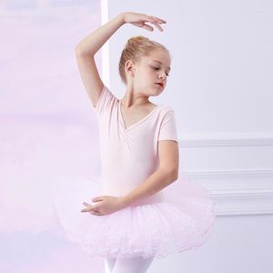 Stage Wear Girls Kids Ballet Dance Dress Leotard Short Sleeve Fairy Princess Tutu Dancewear For Costume Clothing