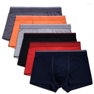 Underpants 6pcs/Lot Cotton Male Panties Men's Underwear Boxers Breathable Man Boxer Solid Comfortable Shorts Sexy Lingerie