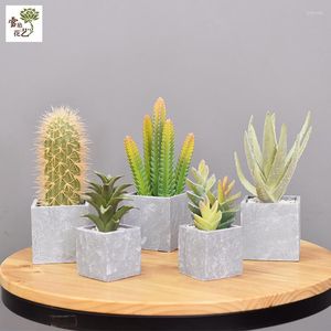 Fiori decorativi Simulazione di fascia alta Cactus Decorazione domestica Pianta tropicale in vaso