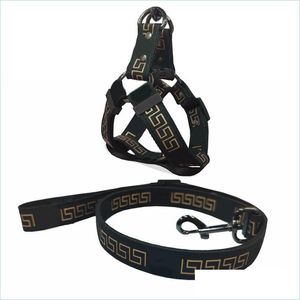 No Pull Designer Dog Harness and Leashes Set Classic Bronzing Pattern Adjustable Dog Collars Leash Safety Belt for Small Medium Large Dogs Cat Sheepdog Bulldog XL B78