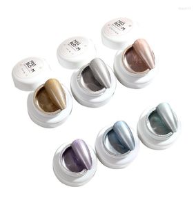 Nail Gel Pull Line Glue Metal Painted Adhesive Art Paint Gold And Silver Hook Side Mirror Polish