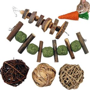 Cat Toys Rabbits Chew Hamster For Teeth Natural Wood Scent Treats And Balls Chinchilla Guinea Pig