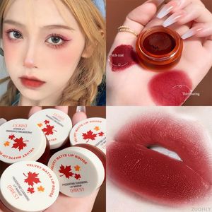 Lipgloss mousse matte stick modder make -up palet rode rouge blijvende tint crème pigment zijdeachtige textuur wang perzik blush cosmetic