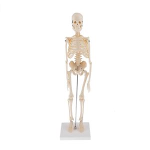 Andra kontorsskolan levererar mänsklig anatomisk anatomi skelett dekorationsmodell skelett ben lär dig aidtart skiss doll chiren leksaker 230130