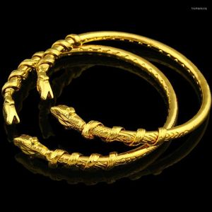 Bangle Adixyn Etiopian Dragon Armband för kvinnor Män guldfärg smycken Etiopisk/USA/afrikanska djurband Artiklar Trum22