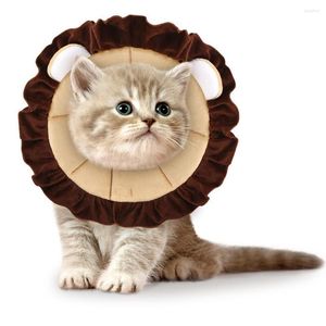 Colarinhos para cães 1 PCS Pet Lion Shape Elizabeth Ring confortável Ajustável Ajuste Anti-mordia Cone protetora de colarinho para cães gatos gota