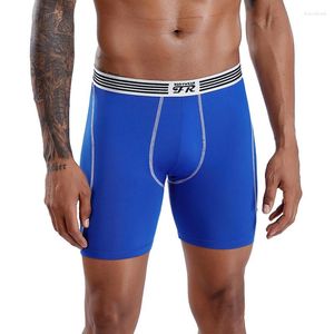Underbyxor Mens Long Boxer Shorts Sports Gym Athletics Workout Jogging Panties Elastic Quick Dry Fitness underkläder andas