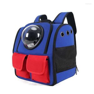 Dog Car Seat Covers Winter Warm Large-capacity Pet Backpack Portable Cat And Breathable Puppy Travel Bag Outdoor Supplies