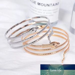 Coiled Snake CHAIN Spiral Upper Arm Cuff Armlet Armband Bangle Bracelet Anklet GIFT Charms Bangles Jewlery Factory price expert design Quality Latest