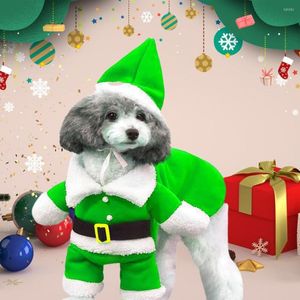 Köpek giyim 1pc/1 set güzel komik elbise kıyafetleri evcil hayvan cosplay Noel kostümü soluksuz tutun