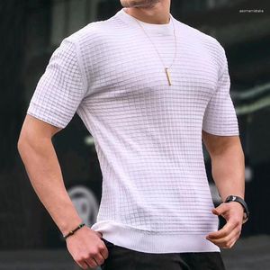 T-shirt da uomo 2023 Summer Short Sleeve Slim Knit Clothes Tinta unita Small Checkered O Neck Tee Top Pullover per il tempo libero maschile