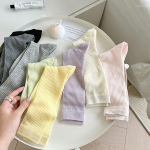 Women Socks Fashion Long High Spring Summer Loose Breathable Mesh Color Candy Antibacterial Deodorant