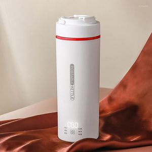 Bollitore elettrico portatile da 450ml Tazza riscaldante Stufato Pentola per la conservazione della salute Teiera da viaggio per la conservazione del calore 110V-220V