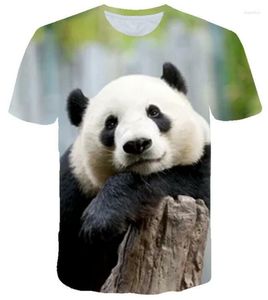Erkek Tişörtleri Yaz Kısa Kollu Erkekler ve Erkekler R 3D Gerçekçi Çin Panda Giyim Yuvarlak Boyun Sevimli Kişiselleştirilmiş Büyük Boy Tişört