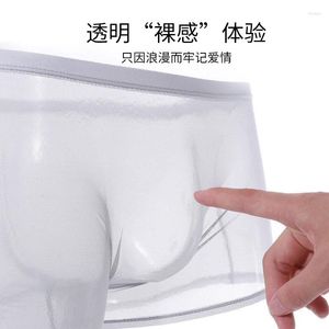 Underpants Men Short Mesh Transparent Panties Boxer Shorts Mens 4XL Ice Silk Ultra Thin Sexy Briefs Solid Colors 2023