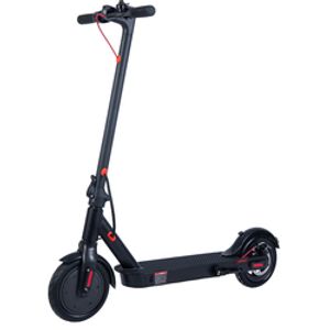 New Fashion 350w motor Citycoco China Cheap e9pro Stand Up Mini Foldable with app Kick 2 Wheel Electric Scooter Adult