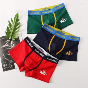 UNDANTANT ERKEK PANTİK BOXER BRIPS BIWLIS MALIP SLIPS Rahat Nefes Alma3D U Dışbükey iç çamaşırı boksör adam