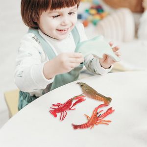 Garden Decorations Toddlers Toys Plastic Lobster Model Simulation Life Cycle Puzzle Growth Models Funny Teaching Props