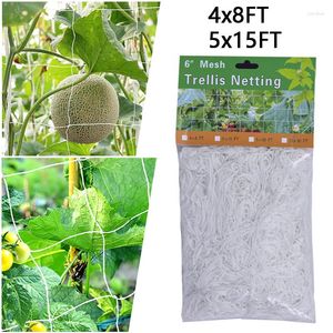 Förvaringsväskor trädgård växt trellis netting tungt nät vinrankan klättring nät för grönsak fruktträdgård blomma gurka 4x8ft 5x15ft