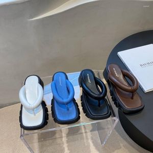 Slippers Shoes Rubber Flip Flops Women Summer Slides Platform Fashion Pantofle на низком каблуке Hawaiian Luxury 2023 Block HOOF H