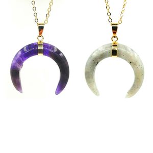 JLN Quartz Stone Horn Pendant Amethyst Tiger Eye Crystal Crescent Moon Amulet Charm With Brass Chain Necklace Gift For Ladies