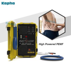 EMTT PMST Loop Magnetic Feild For Home Use And Pain Relief Physiotherapy Machine