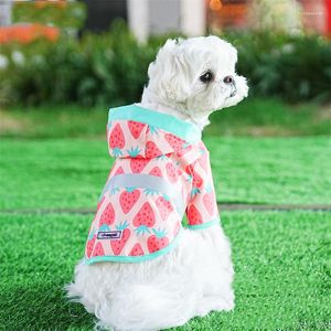 Dog Apparel Raincoat Pet Waterproof Clothing Schnauzer Japanese Spitzbn Chihuahua Bichon Poodle Pomeranian Small Clothes Costume