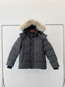 Herren Pufferjacke Gänsedaunenmantel Parka Wyndham Herren Designer Real Coyote Fur Outdoor Windjacke Jassen Oberbekleidung Kapuze Fourrure Doudoune Canadas Goose 61WE