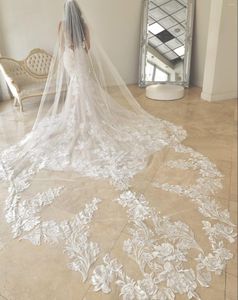 Bridal Veils 300cm Long Wedding For Bride Appliqued Lace Pretty Accessories Soft Tulle 1 Tier Veil With Comb