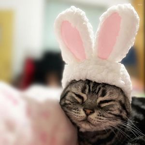 Cat Costumes 1Pcs Kawaii Ear Headgear Warm Cosplay Props Plush Kitten Headwear Small Dog Pet Hat Supplies Accessories