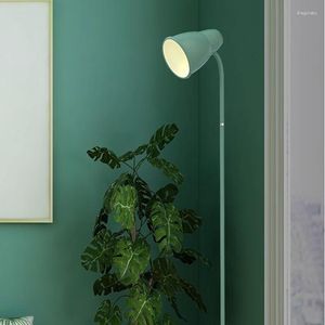 Lampy podłogowe metalowa lampa salonu nowoczesna design minimalistyczny kawaii ciepłe oświetlenie