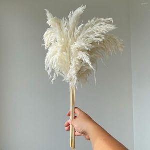 Decorative Flowers White Color Large Size Real Dried Pampas Grass Wedding Decor Flower Bunch Natural Plants Home Fall
