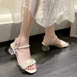 2024 495 Sandaler Ladies Shoes Summer Block Heels Passar Kvinnlig Beige Buckle Strap Chunky Black Retro Plastic Women Comfort Clear Clear