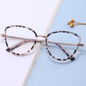 Sonnenbrille Mode TR90 Leopard Cat Eye Blau Blockieren Gläser Frauen Leichte Männer Rahmen Vintage Anti-Computer Strahlung Brillen