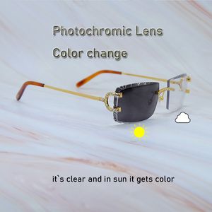 Buzlu güneş gözlüğü fotokromik lens renk değiştirme İki renk lens 4 sezonluk gözlükler birbirine geçiş lüks rhinestones carter gözlük gafas de sol sol