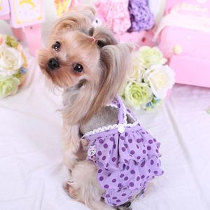 Vestuário para cães Suprimentos para animais de estimação Calças menstruais Bolo de bolinhas Alças fisiológicas ajustáveis Roupas por atacado Teddy Feminino