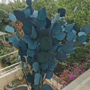Acessórios de decoração, flor de exibição 110g/lote, buquê de folhas de eucalipto preservadas naturais, flor seca eterna para casa de casamento